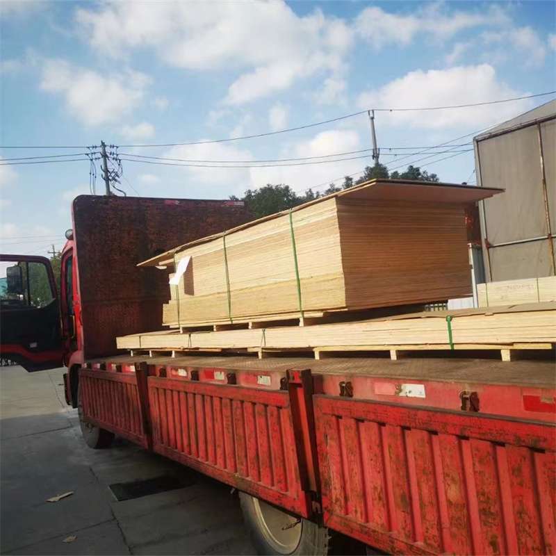 福建泉州南安至塔城货运专线，一站式物流服务助您成功